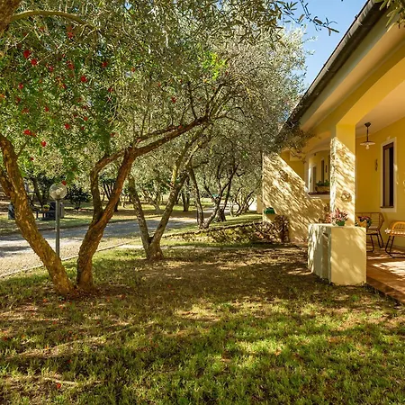 Residenza Parco Degli Ulivi *