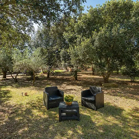 Residenza Parco Degli Ulivi Holiday home Villamassargia